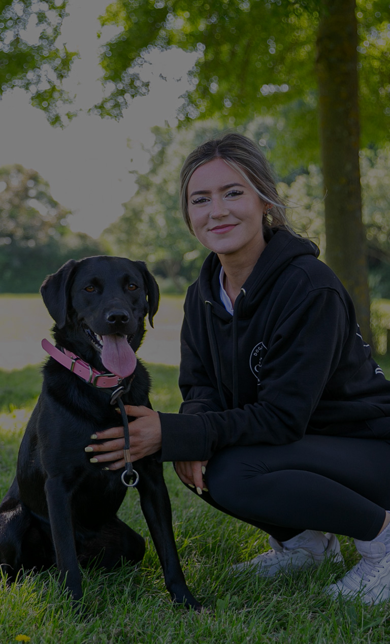 Chloe's Canine Services
